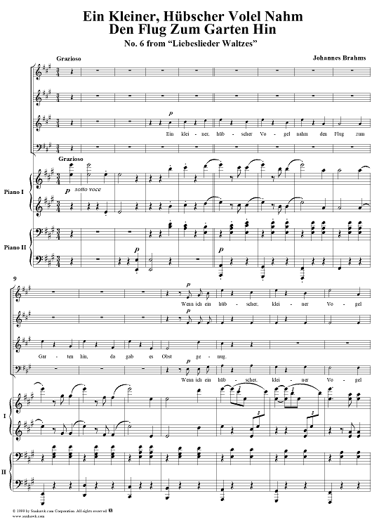 6. Ein kleiner, hübscher Volel nahm den Flug zum Garten hin