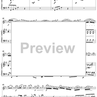 Flute Concerto in G Major - Piano