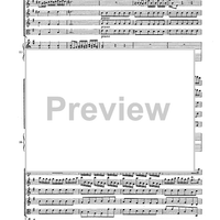 Double Concerto for Recorder and Flute in E minor - Score