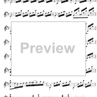 Le Fandango Varié Op.16