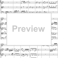 Sinfonia in B minor - No.1 from Cantata No. 209 - BWV209