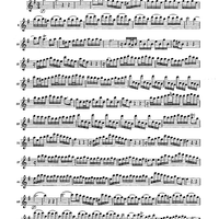 Double Concerto for Recorder and Flute in E minor - Flauto Dolce (Recorder)