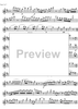 Quartet D Major KV285 - Flute