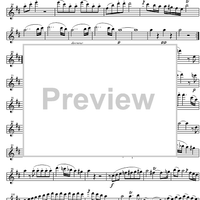 Quartet D Major KV285 - Flute