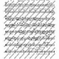 2. Concerto in C - Viola