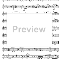 Piano Trio No. 2 f minor Op.80 - Violin