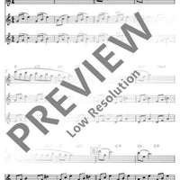 Flute Fun - Performing Score